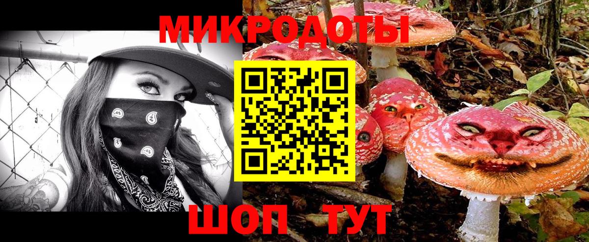 Тейково  Галлюциногенные грибы GOLDEN TEACHER  Вход с VPN 