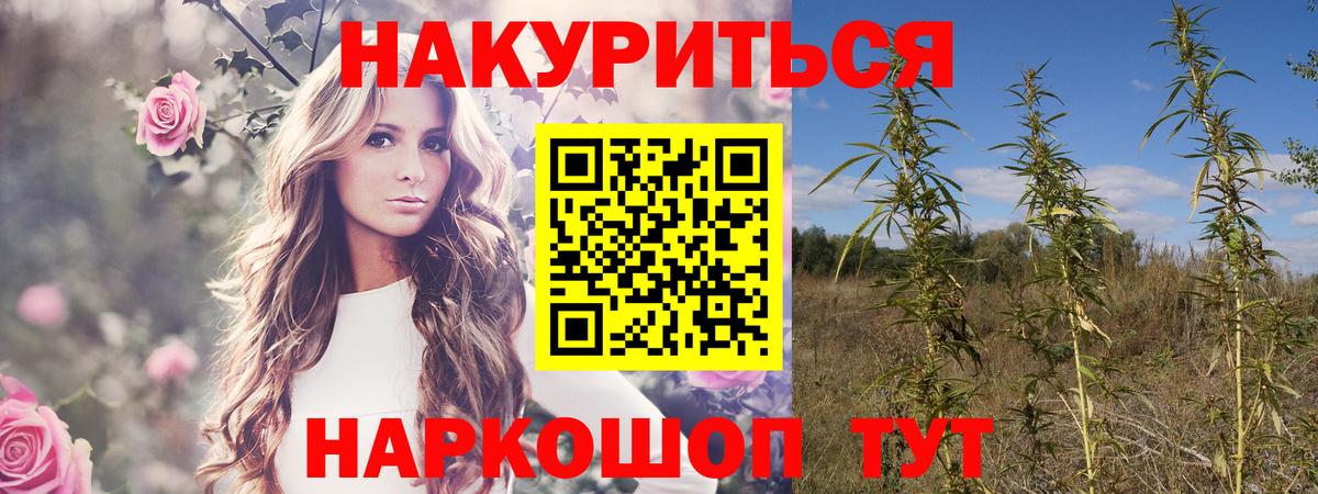 Канабис White Widow Тейково